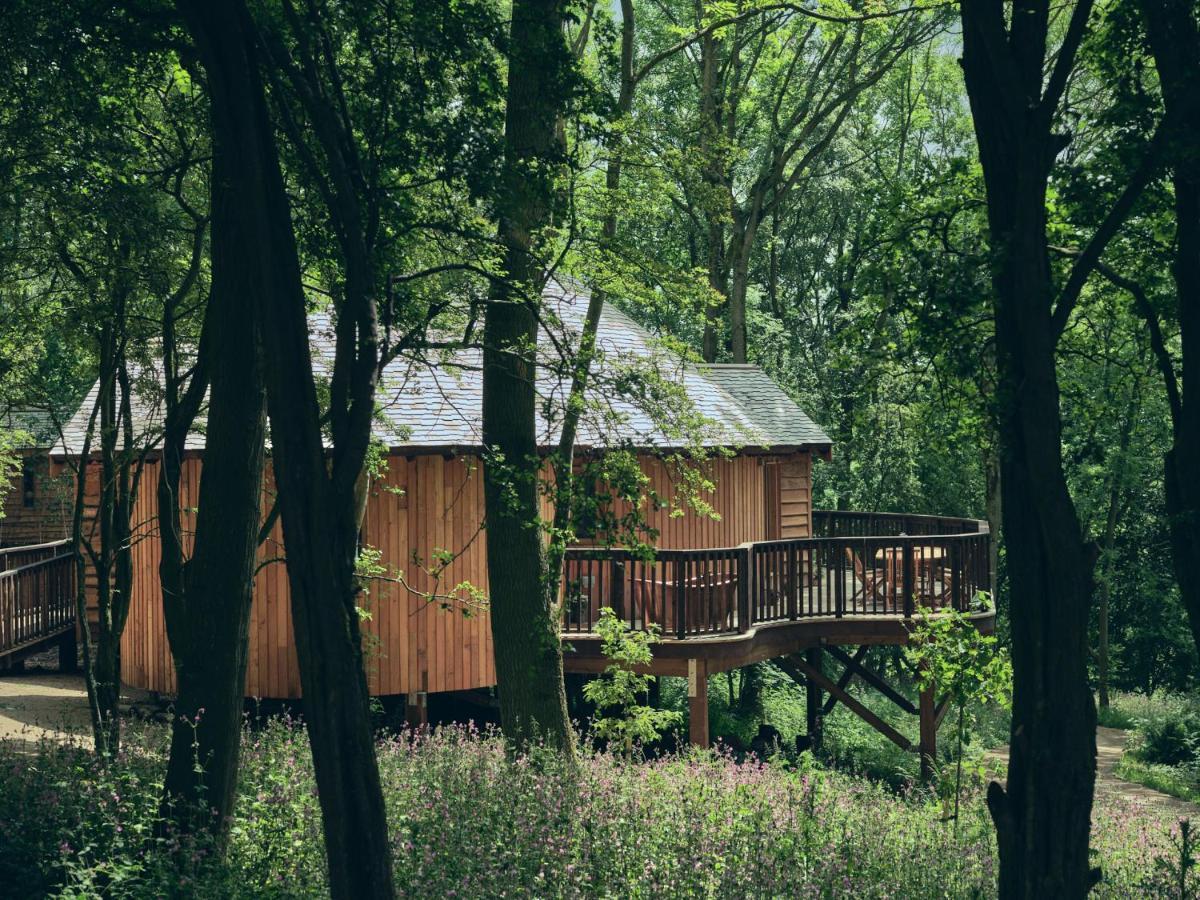 Wildhive Callow Hall Ashbourne  Exterior photo